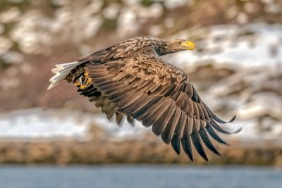 180203_2816-Edit.jpg