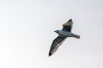 180203_2820-Edit.jpg