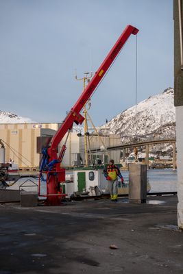 g13/04/318004/3/175779522.d132f6f1.JPEG