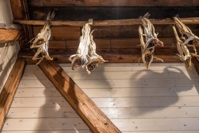 180203_3040-HDR.jpg
