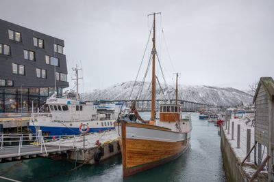 180205_3262.jpg