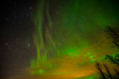 180206_3500.jpg