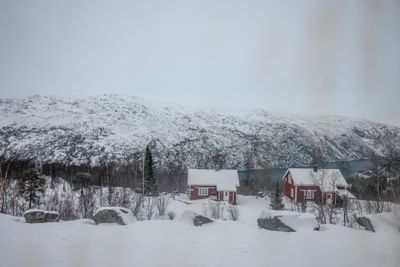 g13/04/318004/3/175779682.1e81e8af.JPEG