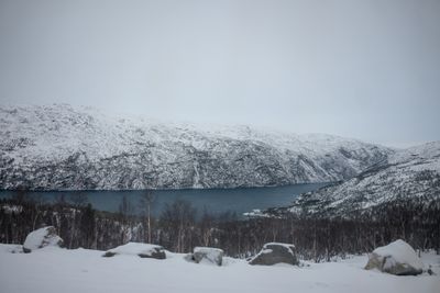 g13/04/318004/3/175779683.6c45ce59.JPEG