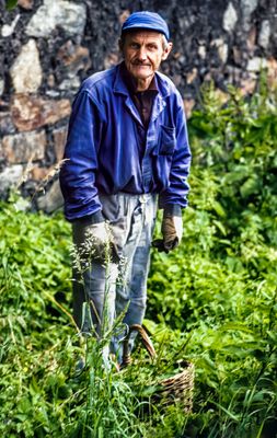 Czech Gardener