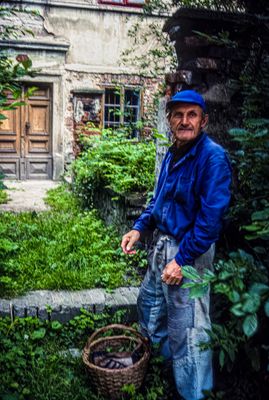 Czech Gardener