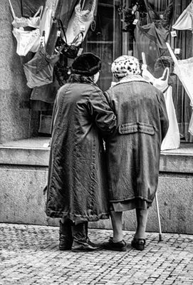 Window Shopping