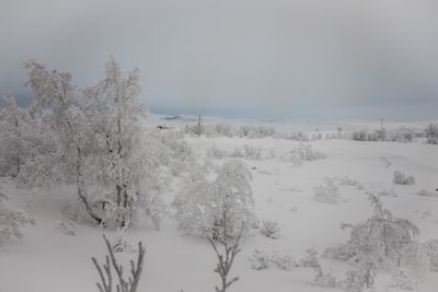 180208_0014.jpg