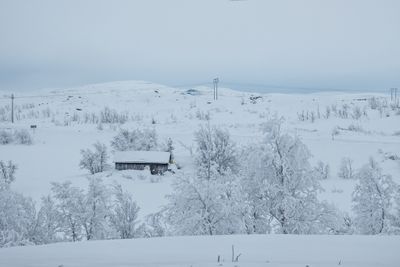 180208_0022-Edit.jpg