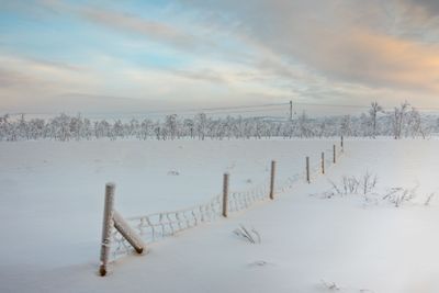180208_0042-Edit.jpg