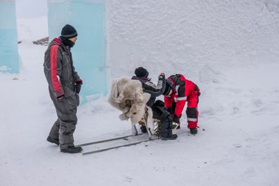180209_0192.jpg