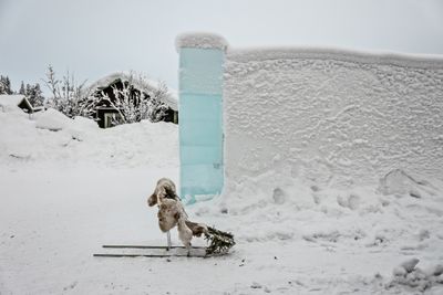 180209_0198-Edit.jpg