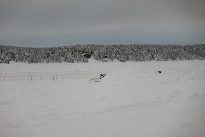 180209_0201.jpg
