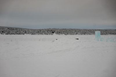 180209_0203.jpg