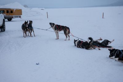 180209_0233.jpg