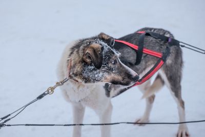 180209_0240.jpg
