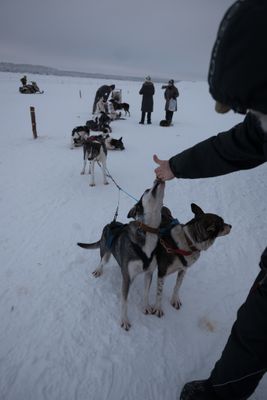 180209_0244.jpg