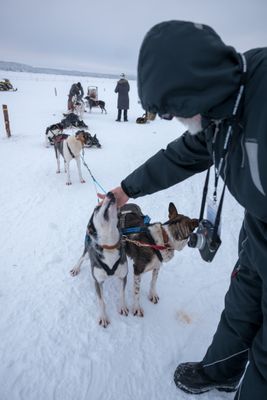 180209_0245.jpg
