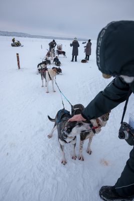 180209_0247.jpg