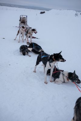 180209_0250.jpg