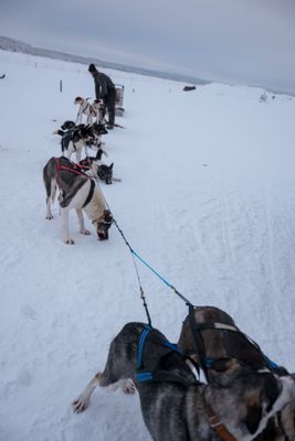 180209_0251.jpg