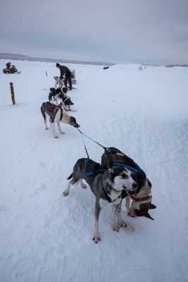 180209_0252.jpg