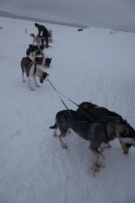 180209_0253.jpg