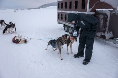 180209_0259.jpg