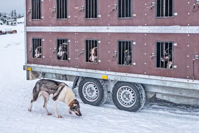 180209_0265-Edit.jpg