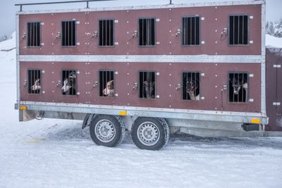 180209_0266.jpg