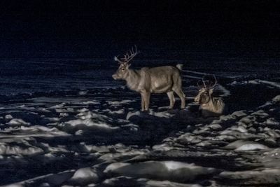 180209_0328-Edit.jpg