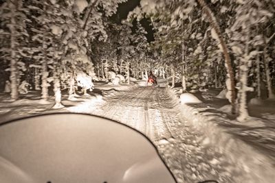 180209_0368-Edit.jpg