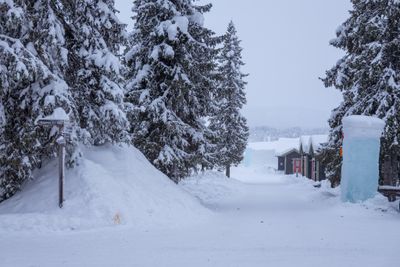 180210_0505-HDR.jpg