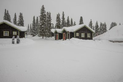 g13/04/318004/3/175779926.c2b1af02.JPEG