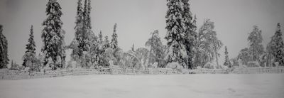 180210_0531.jpg