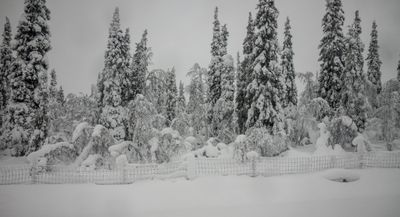180210_0532.jpg