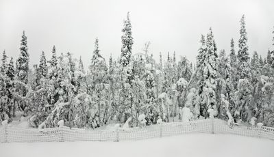 180210_0533-Edit.jpg
