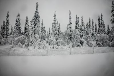 180210_0536.jpg