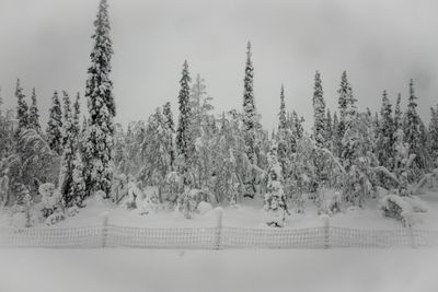 180210_0538.jpg