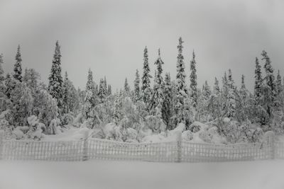 180210_0539.jpg