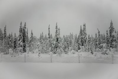 180210_0540.jpg