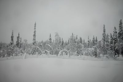 g13/04/318004/3/175779942.44c55fa3.JPEG