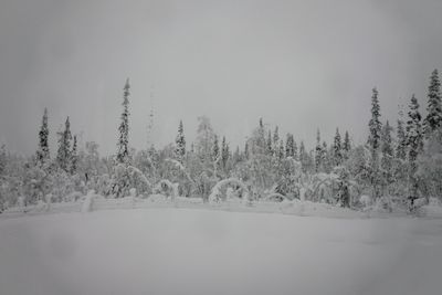 180210_0544.jpg