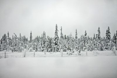 180210_0553-HDR-Edit.jpg