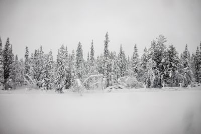 180210_0558.jpg