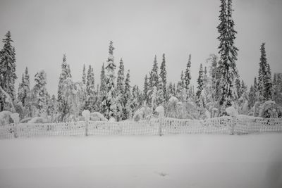 180210_0561-HDR.jpg