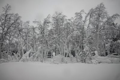 g13/04/318004/3/175779949.000ed64f.JPEG
