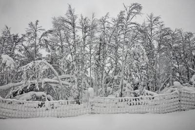 180210_0566-Edit.jpg