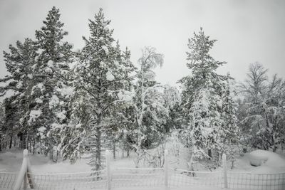 g13/04/318004/3/175779951.b8950fa6.JPEG