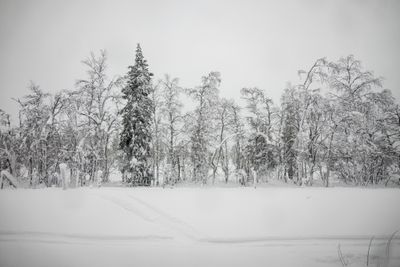 180210_0572.jpg